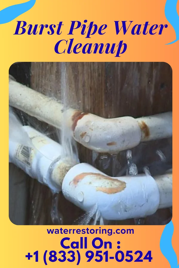 Burst Pipe Water Cleanup in Brielle, NJ