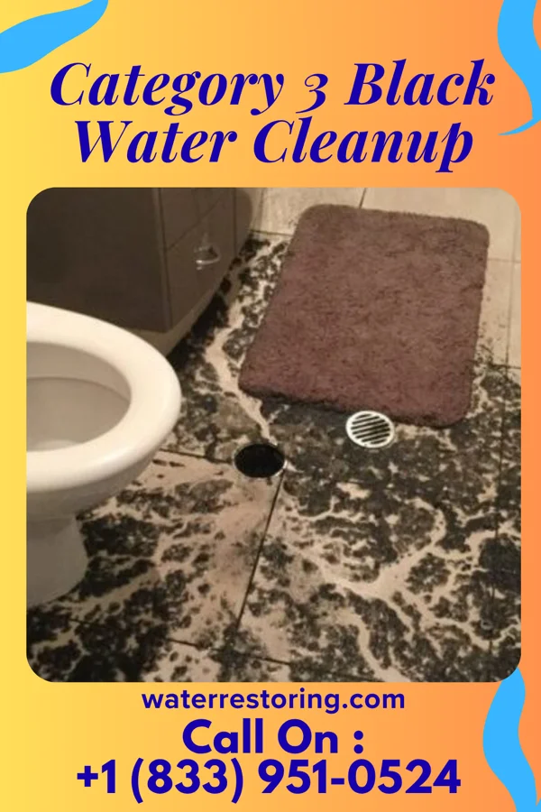 Category 3 Black Water Cleanup in Brielle, NJ