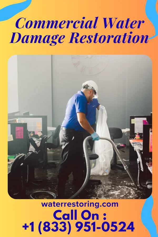 Commercial Water Damage Restoration in Brielle, NJ