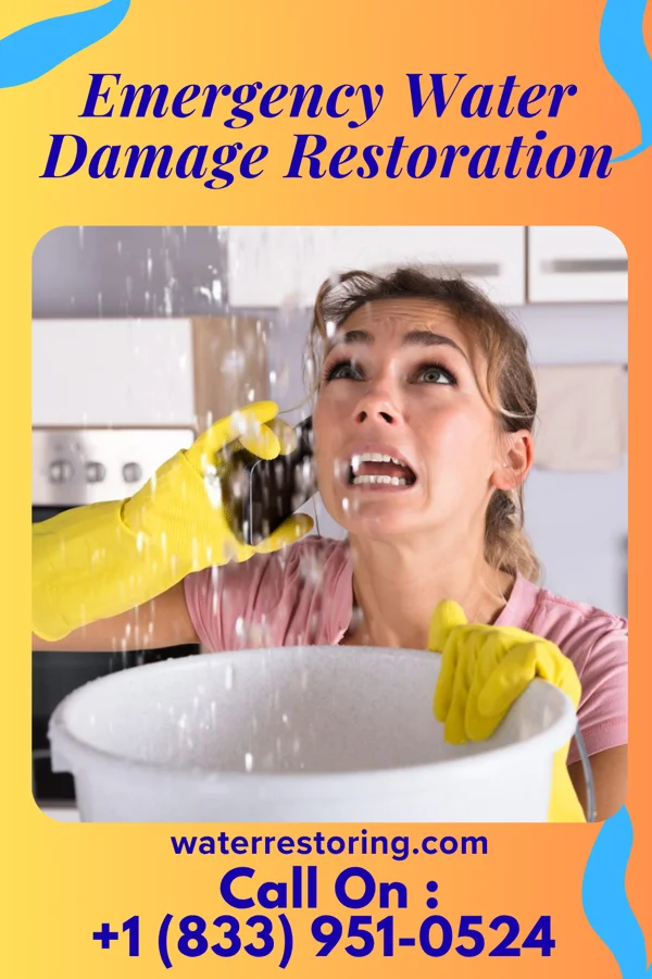 Emergency Water Damage Restoration in Brielle, NJ