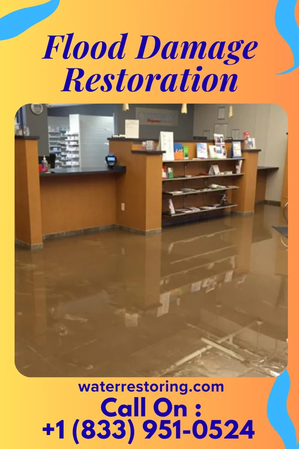 Flood Damage Restoration in Brielle, NJ