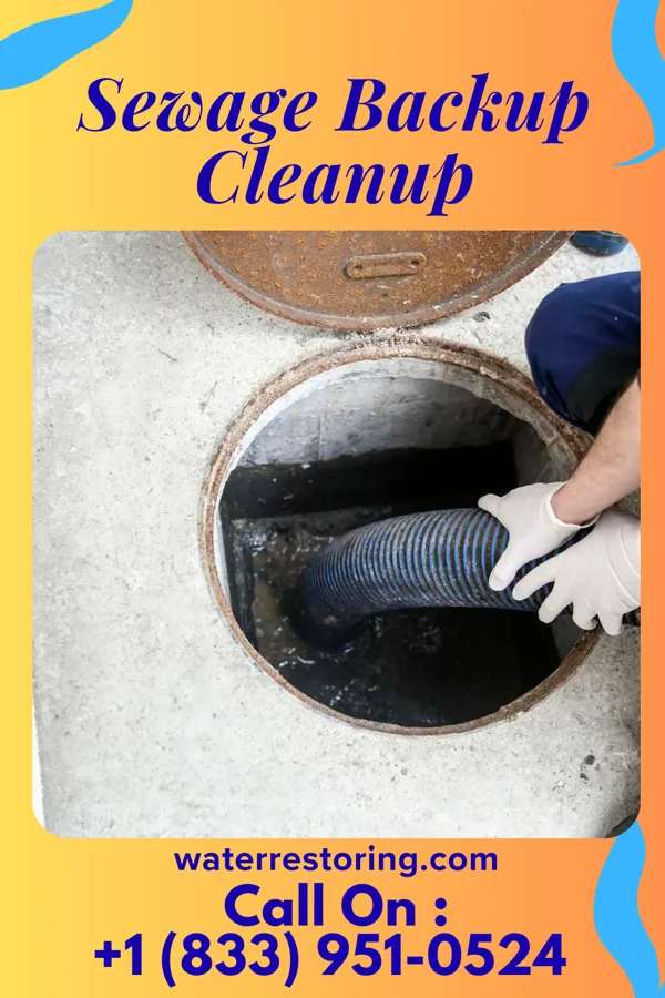Sewage Backup Cleanup in Brielle, NJ