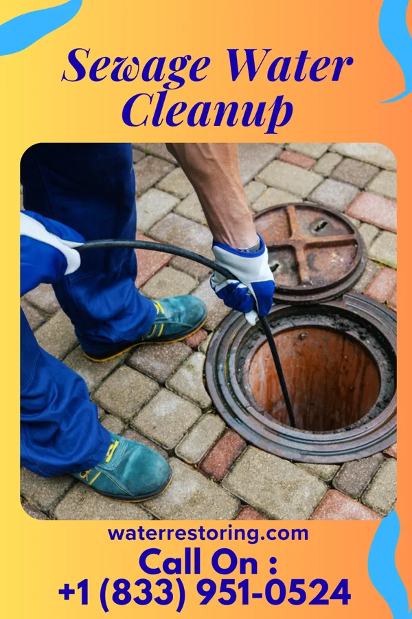Sewage Water Cleanup in Brielle, NJ